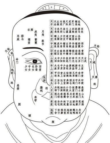 观面相知进退