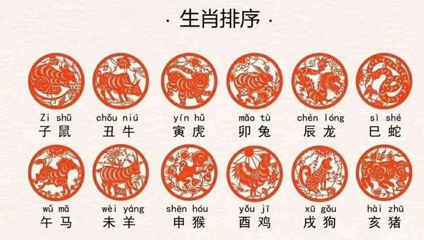 养生帖忠实拥护者说的就是这些生肖