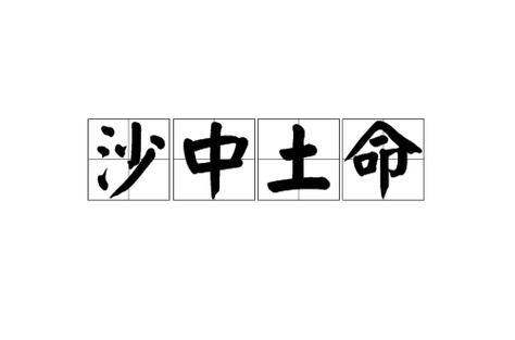 你知道沙中土命人适合做什么吗