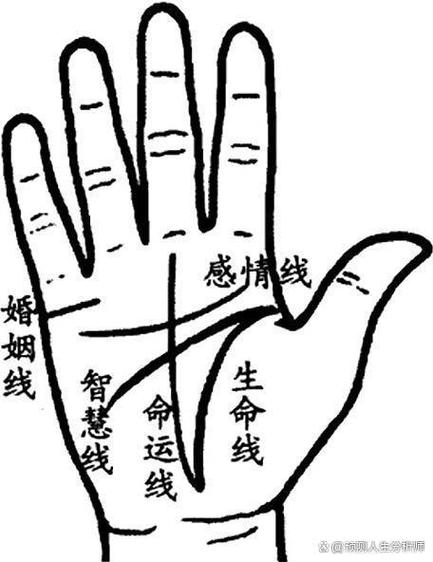 通过相学纹理观德善