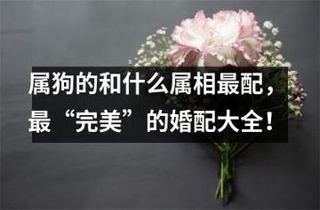 属狗不宜和什么婚配