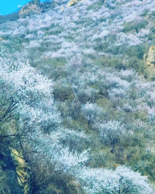 房子能看到妙峰山陵园风水好吗