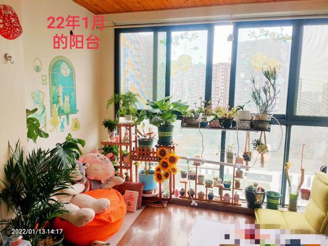 封闭式阳台对风水好不好