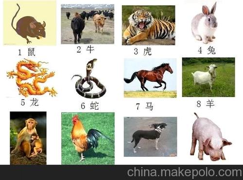 选伴侣着重颜值的生肖有哪些?