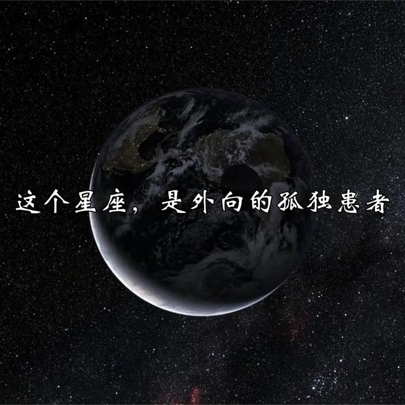十二生肖谁是外向的孤独患者