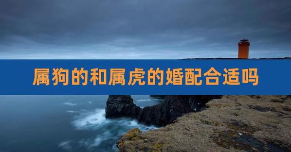 属虎人在2023年跟属狗人结婚合适吗