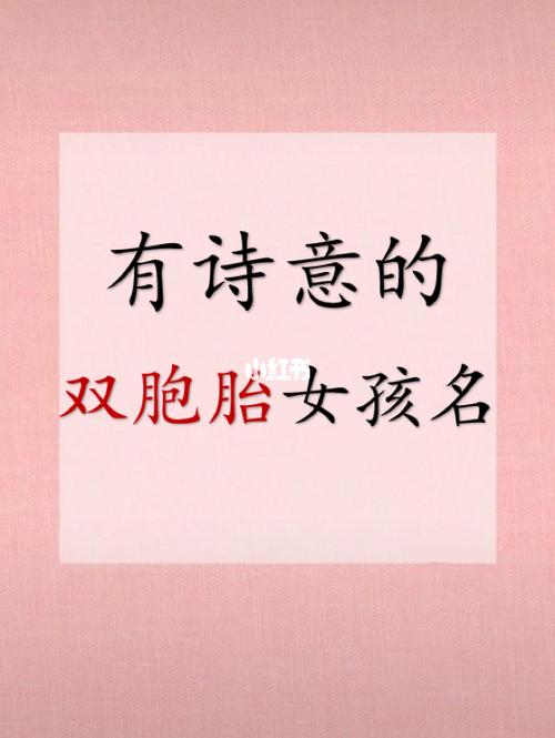 诗情画意的女双胞胎宝宝起名