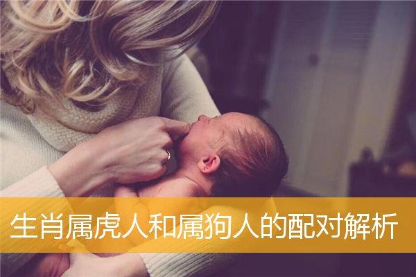 属虎的人和属狗的人相结合好不好?属虎的女人克夫吗?
