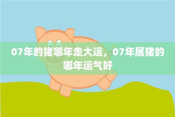 07年属猪人未来什么时候起大运