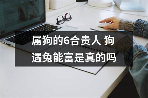 属狗的6合贵人 狗遇兔能富是真的吗