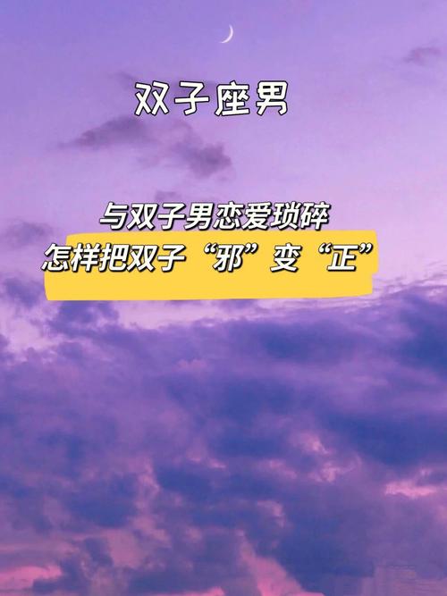 双子男坏吗