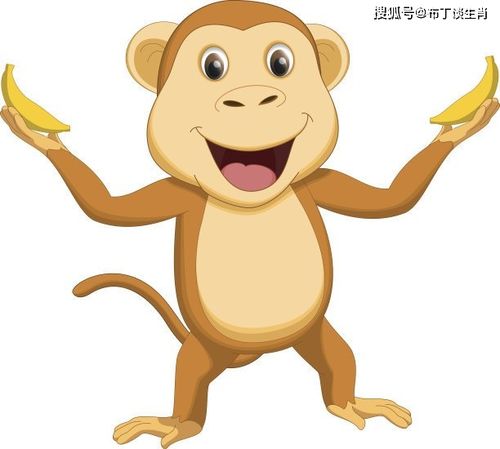 琐碎颇多 1980年42岁属猴的2022年会离婚吗