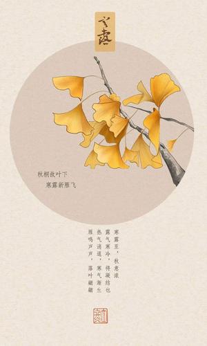 2020农历八月二十二日寒露出生的宝宝性格命运解析!