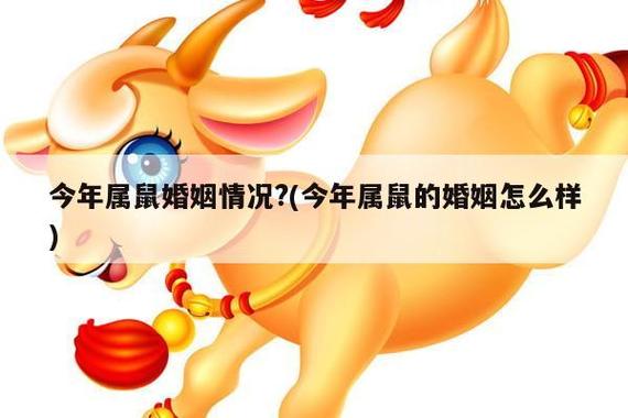 属鼠男今年婚姻运势