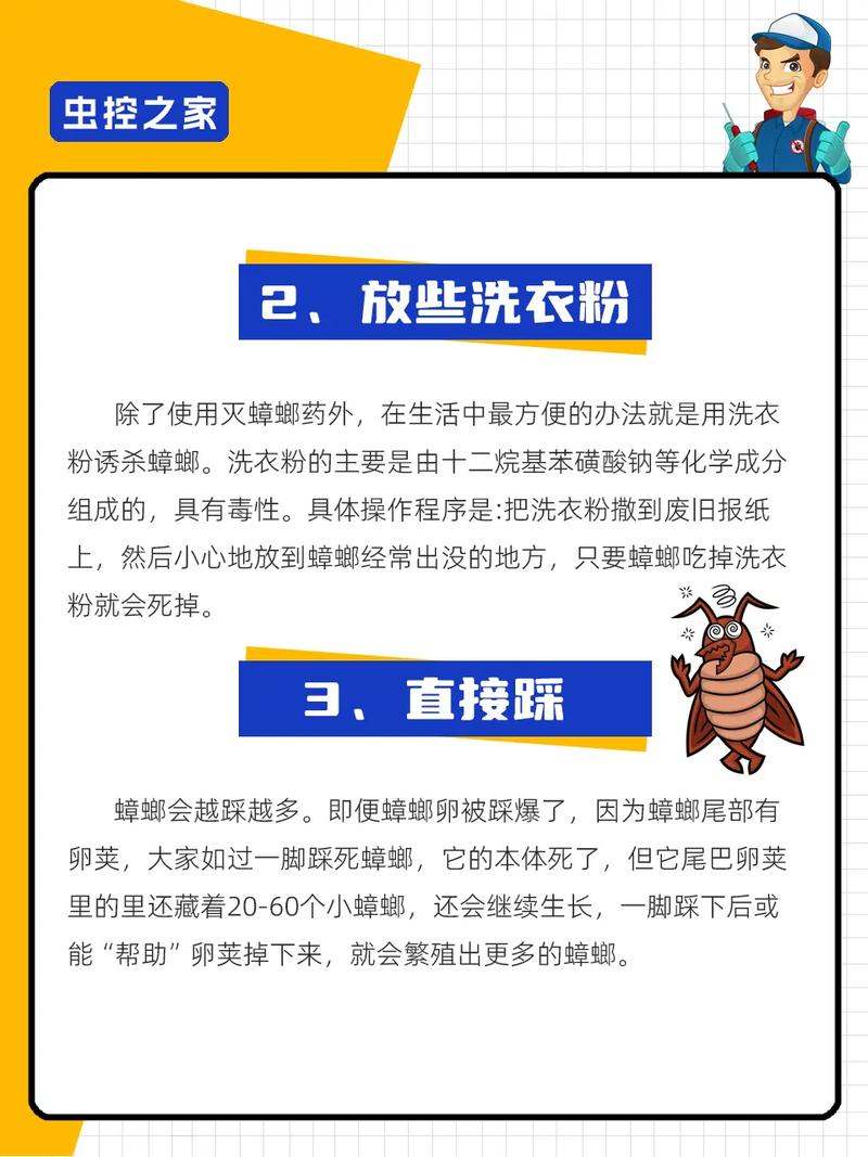 梦见蟑螂爬到身上