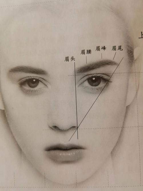 没眉峰的眉毛命运好吗