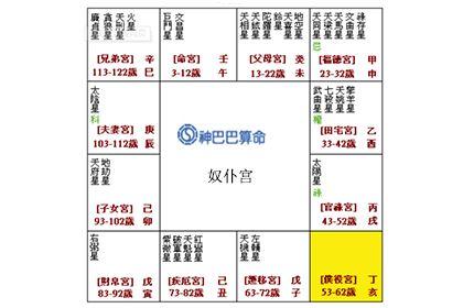 天机入仆役宫的人性格命运如何?