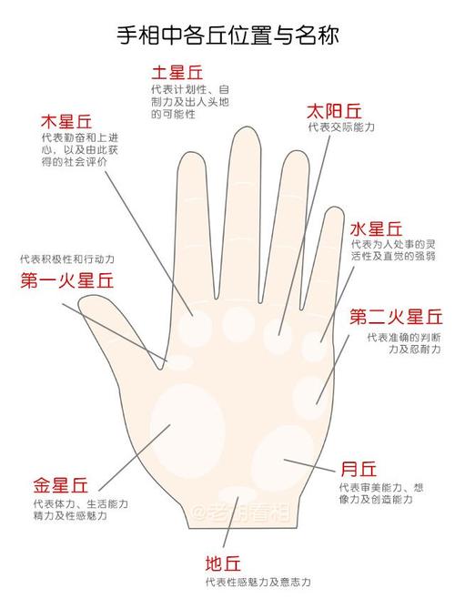 九大掌丘各自代表不同的意义