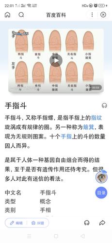 手上几个斗最好斗越多越好吗