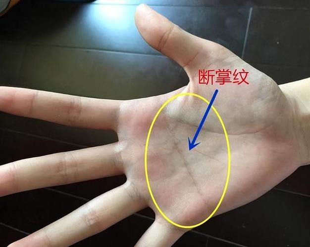 你手纹有断掌么