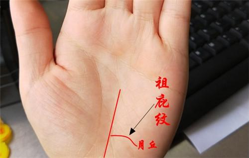 宝宝手相图解大富大贵的婴儿手相