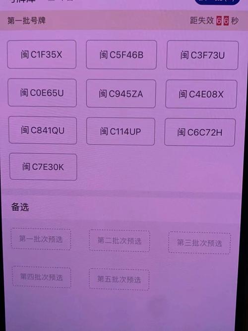 选对了车牌号将桃花运连连