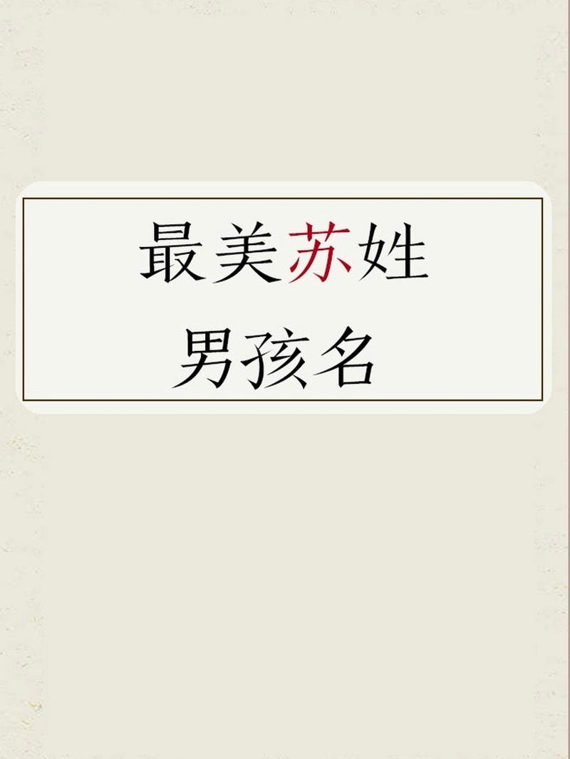 苏姓男孩取名内涵诗意名字推荐