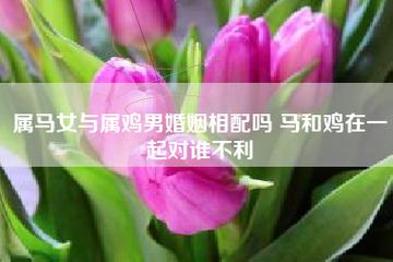 男属马女属鸡婚姻美满吗