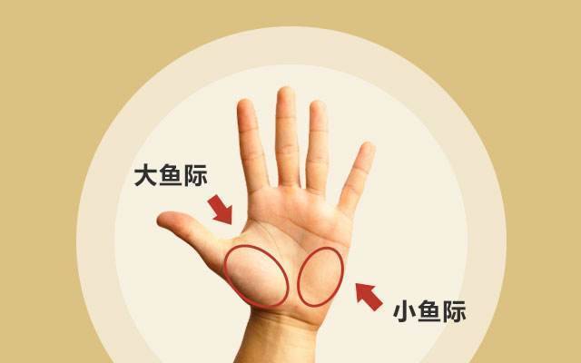 图解:手掌大、小鱼际颜色与健康