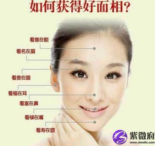 女人鼻头有肉面相详解