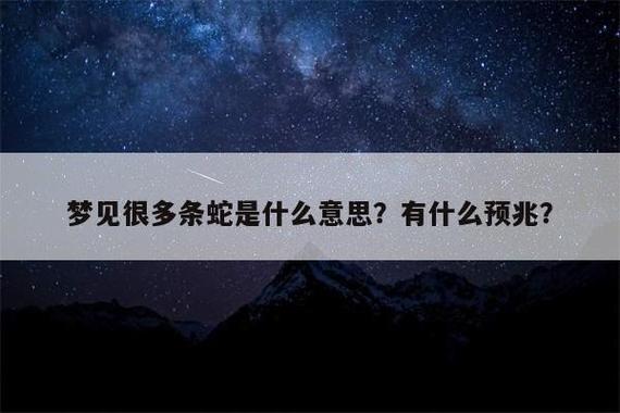 梦见好多蛇挡道是什么意思