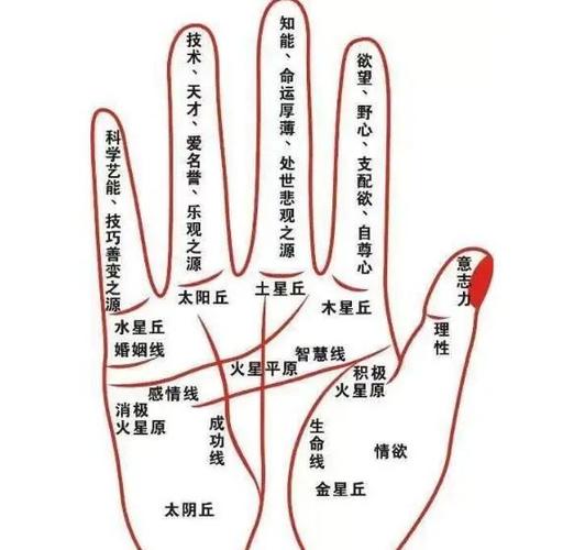 拥有手颈线清晰的手相会暴富嘛