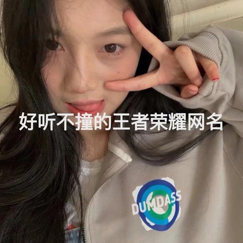 繁体王者荣耀名字霸气带符号99%的人都不知道