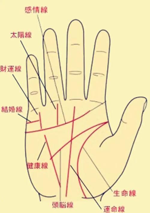 手相三大线怎么看