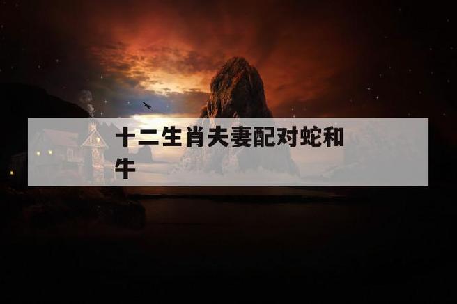牛和蛇做夫妻好不好