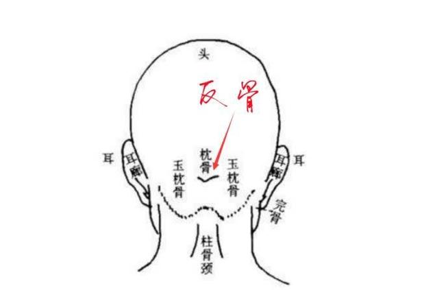 面相反骨是什么意思