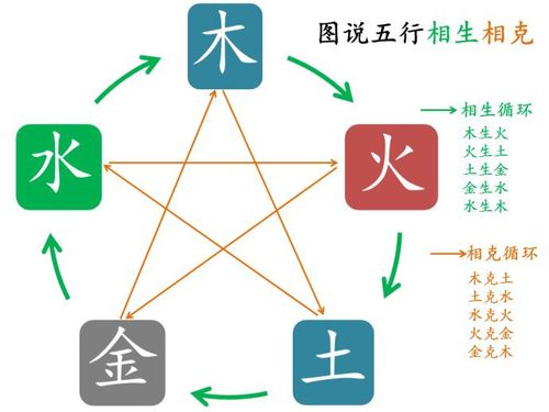 水命体质天干是什么,水命可分为六种且天干各不相同