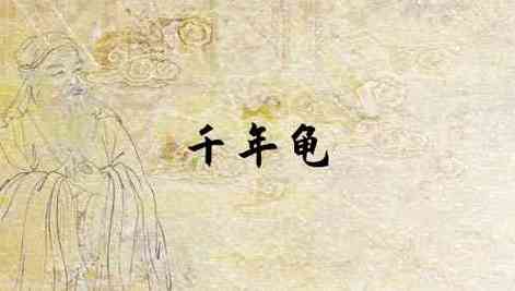 梦见千年老龟 梦见千年老龟跟自己回家里