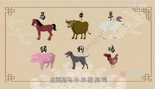 十二生肖六畜指哪六畜