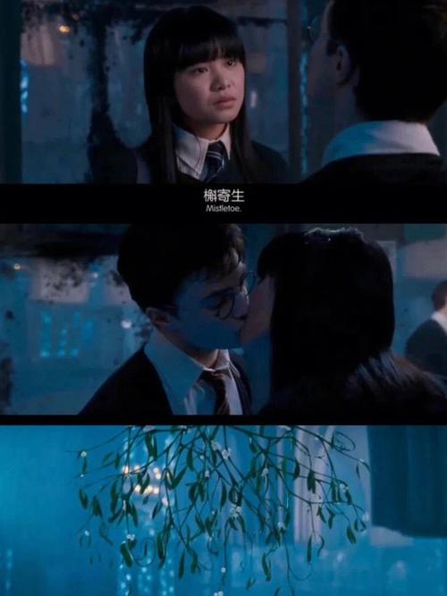 梦见槲寄生是什么意思