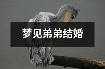 梦见兄弟结婚是什么意思