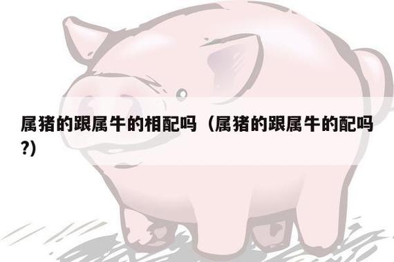 生肖牛和生肖猪的婚配详解