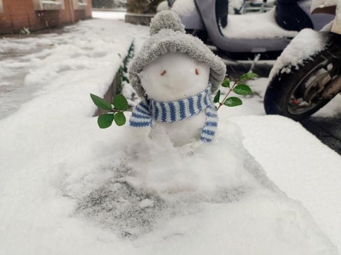 梦见雪人追我像人一样什么意思