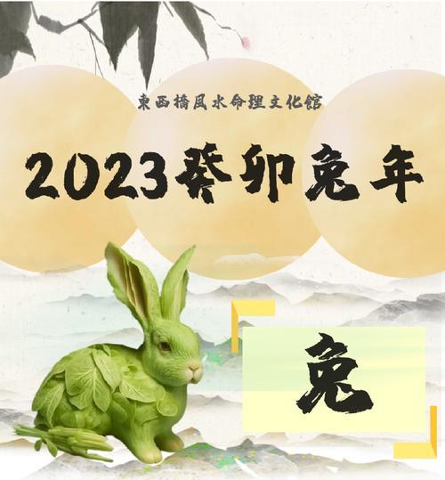 11月份生肖兔爱情运势走向