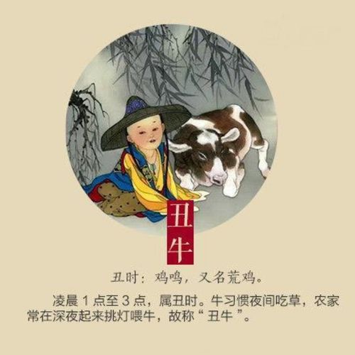 丑牛的称呼是怎样来的