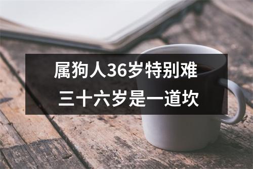 属狗的人今年难逃的坎是什么
