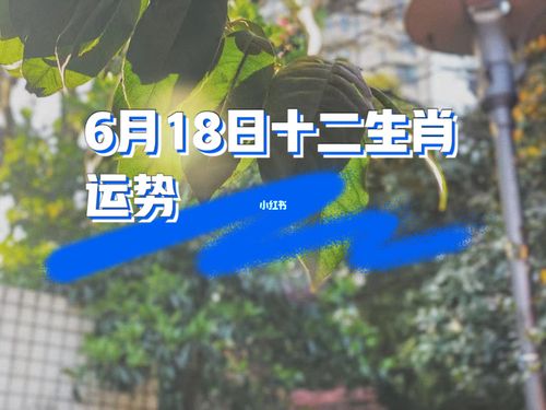 十二生肖六月份如何提升财富运势