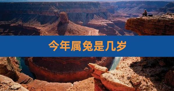 2021属兔的今年多少岁