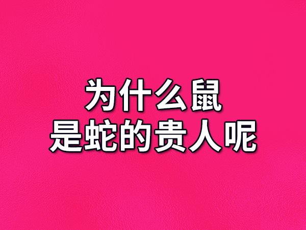 为什么鼠是蛇的贵人呢