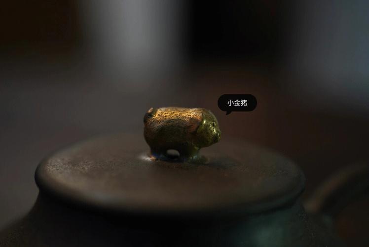 土猪命和金猪命的区别